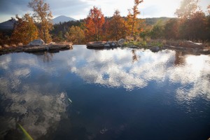 Pond in Fall