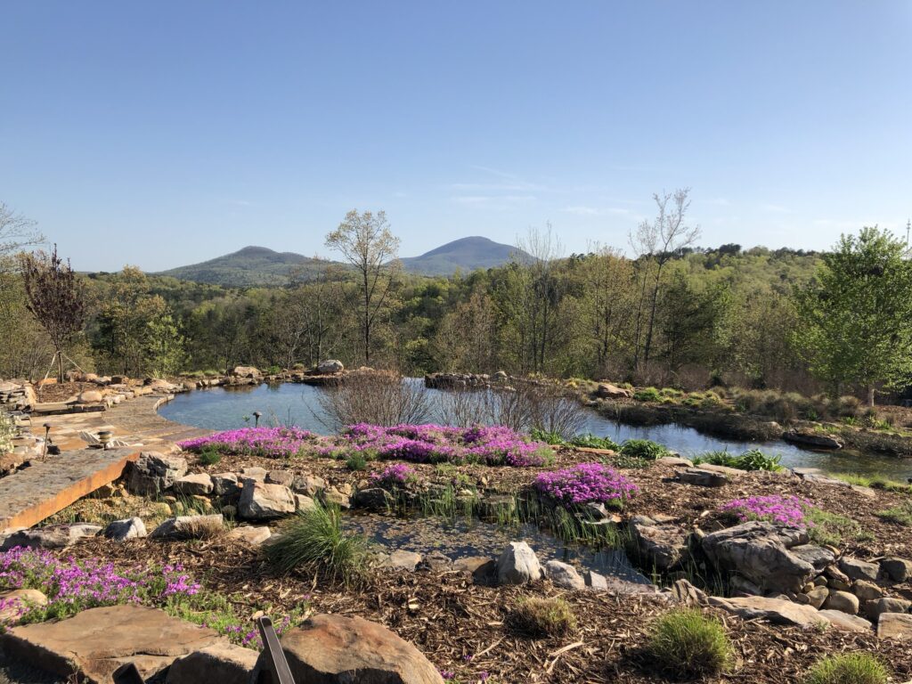 Elohee Pond 2018