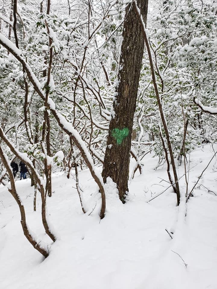 Elohee Winter
